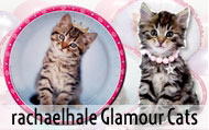 Glamour Cats Party Supplies