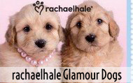 rachaelhale Glamour Dogs Party Supplies